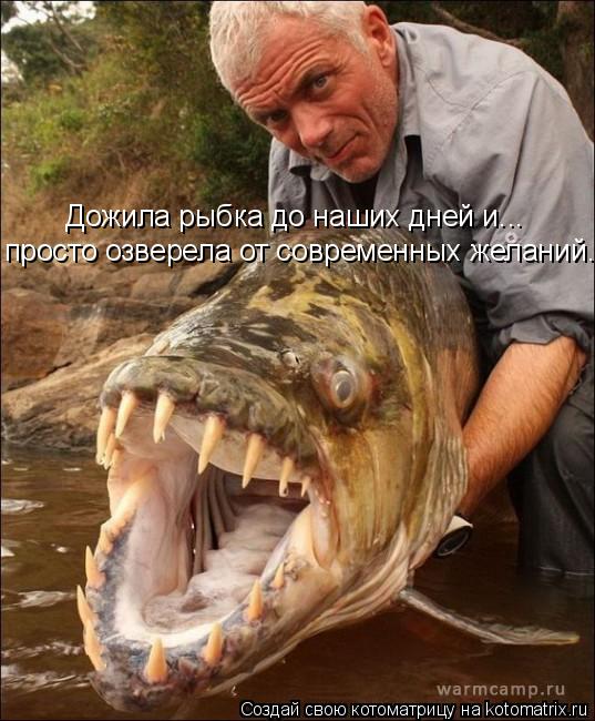 Дожила рыбка до наших дней и... просто озверела от современных желаний...... Котоматрица: Дожила рыбка до наших дней и... просто озверела от современных желаний...