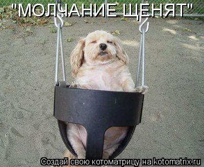 "МОЛЧАНИЕ ЩЕНЯТ"... Котоматрица: "МОЛЧАНИЕ ЩЕНЯТ"