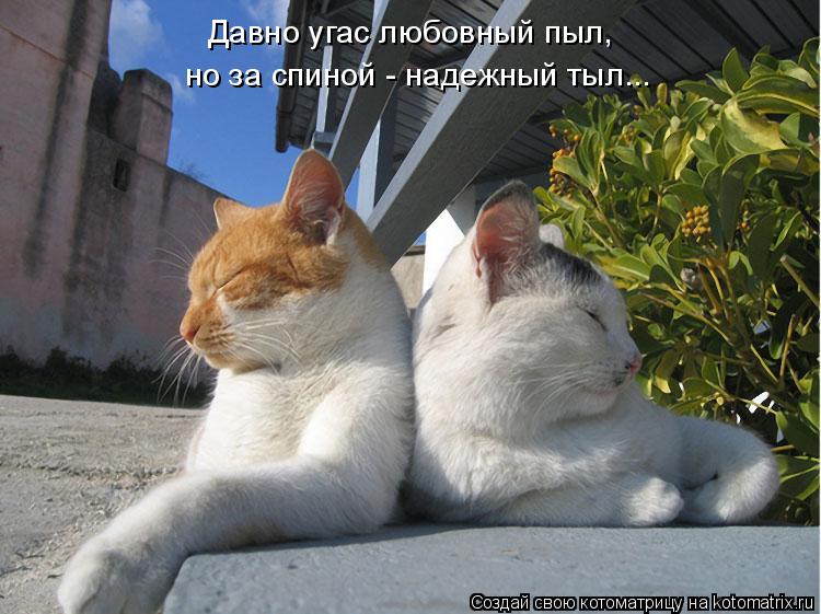Давно угас любовный пыл, но за спиной - надежный тыл...... Котоматрица: Давно угас любовный пыл, но за спиной - надежный тыл...