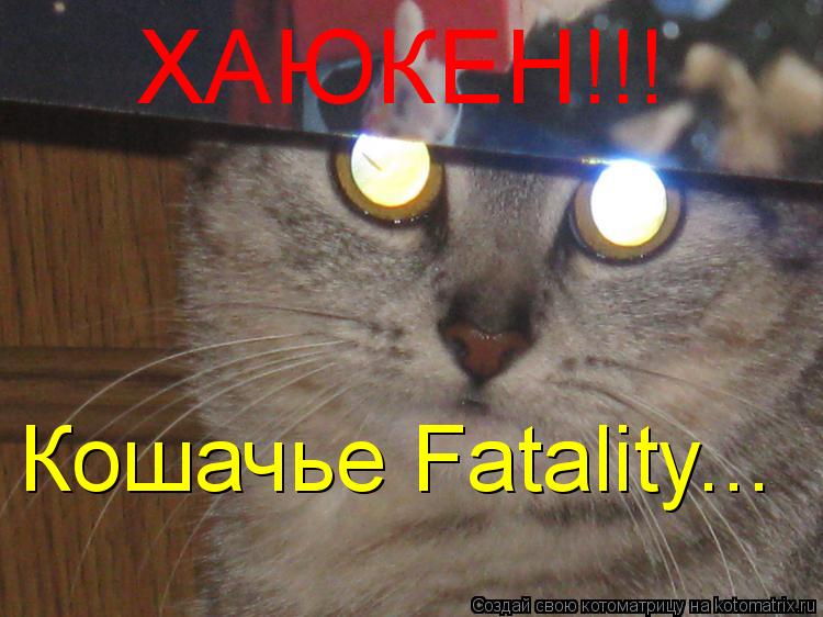 ХАЮКЕН!!! Кошачье Fatality...... Котоматрица: ХАЮКЕН!!! Кошачье Fatality...