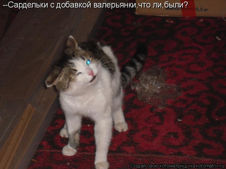 --Сардельки с добавкой валерьянки,что ли,были?... Котоматрица: --Сардельки с добавкой валерьянки,что ли,были?