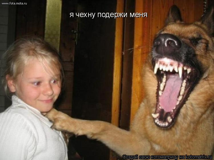 я чехну подержи меня... Котоматрица: я чехну подержи меня