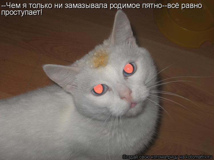 --Чем я только ни замазывала родимое пятно--всё равно проступает!... Котоматрица: --Чем я только ни замазывала родимое пятно--всё равно проступает!