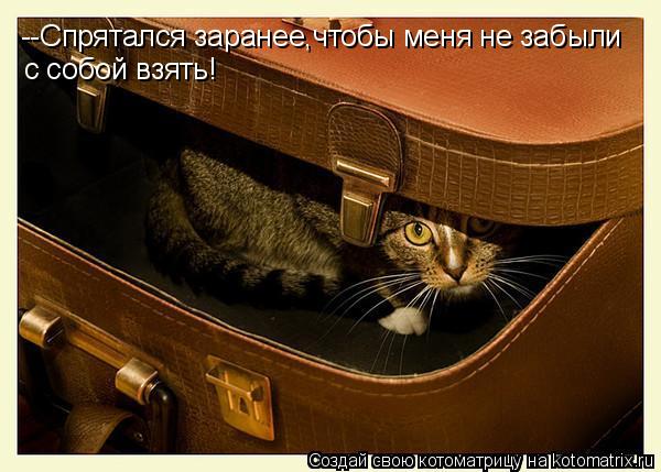 --Спрятался заранее,чтобы меня не забыли с собой взять!... Котоматрица: --Спрятался заранее,чтобы меня не забыли с собой взять!