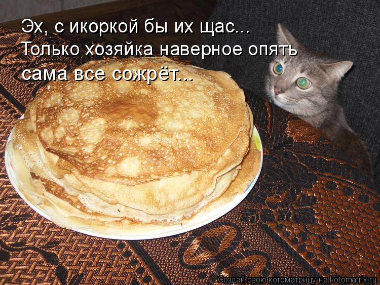 Эх, с икоркой бы их щас... Эх, с икоркой бы их щас... Только хозяйка наверное опять сама все сожрёт..... Котоматрица: Эх, с икоркой бы их щас... Эх, с икоркой бы их щас... Только хозяйка наверное опять сама все сожрёт...