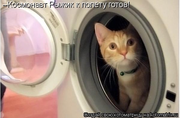 --Космонавт Рыжик к полёту готов!... Котоматрица: --Космонавт Рыжик к полёту готов!