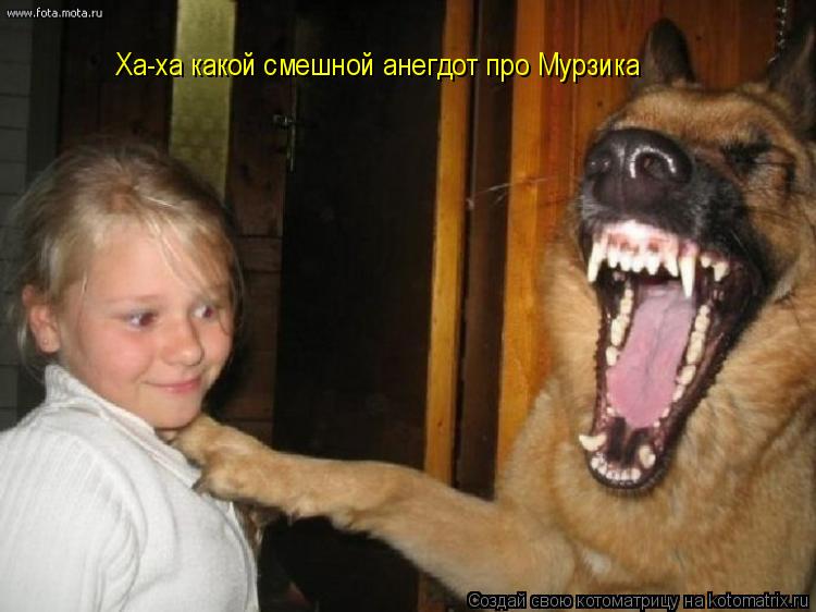 Ха-ха какой смешной анегдот про Мурзика... Котоматрица: Ха-ха какой смешной анегдот про Мурзика