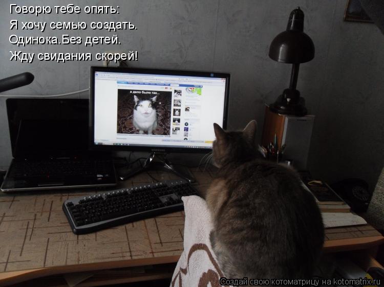 Говорю тебе опять: Я хочу семью создать. Одинока.Без детей. Жду свидания скорей!... Котоматрица: Говорю тебе опять: Я хочу семью создать. Одинока.Без детей. Жду свидания скорей!
