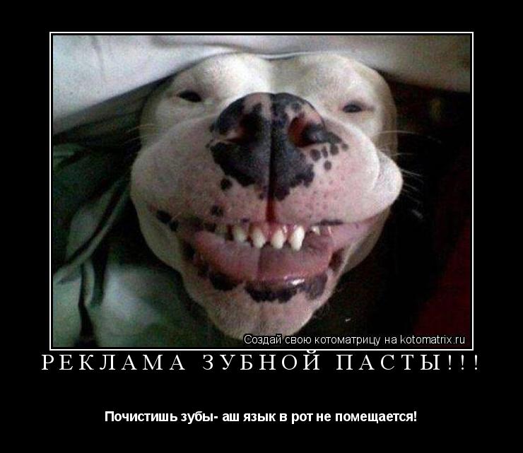 РЕКЛАМА зубной пасты!!! Почистишь зубы- аш язык в рот не помещается!... Котоматрица: РЕКЛАМА зубной пасты!!! Почистишь зубы- аш язык в рот не помещается!