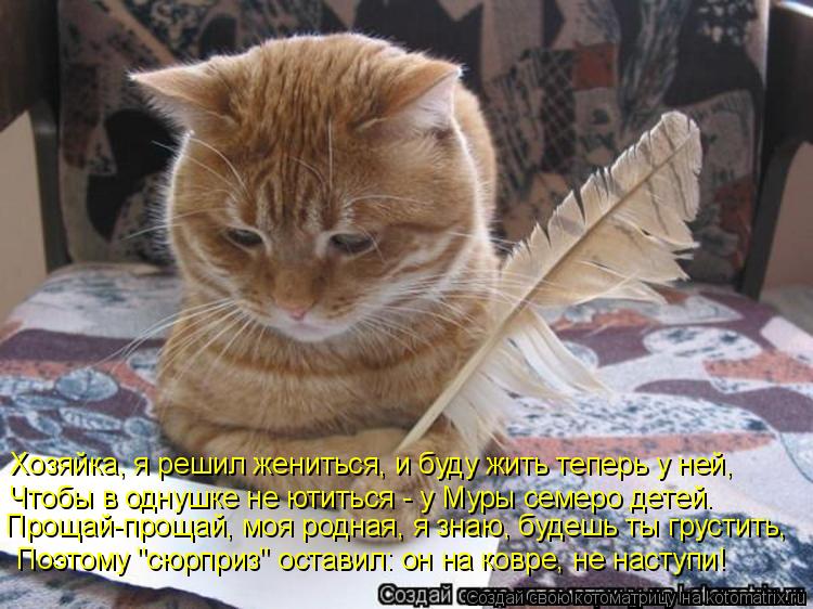 Хозяйка, я решил жениться, и буду жить теперь у ней, Чтобы в однушке не ютиться - у Муры семеро детей... Котоматрица: Хозяйка, я решил жениться, и буду жить теперь у ней, Чтобы в однушке не ютиться - у Муры семеро детей. Прощай-прощай, моя родная, я знаю, будешь