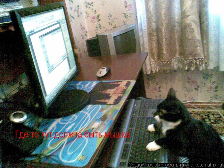 Где-то тут должна быть мышка... Котоматрица: Где-то тут должна быть мышка