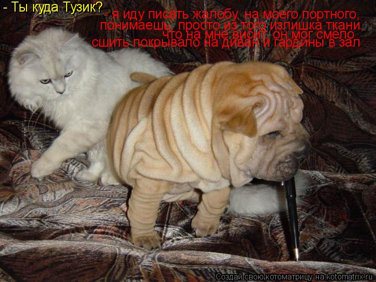 - Ты куда Тузик? - я иду писать жалобу, на моего портного, понимаешь, просто из того излишка ткани, ... Котоматрица: - Ты куда Тузик? - я иду писать жалобу, на моего портного, понимаешь, просто из того излишка ткани, что на мне висит, он мог смело сшить покрыва