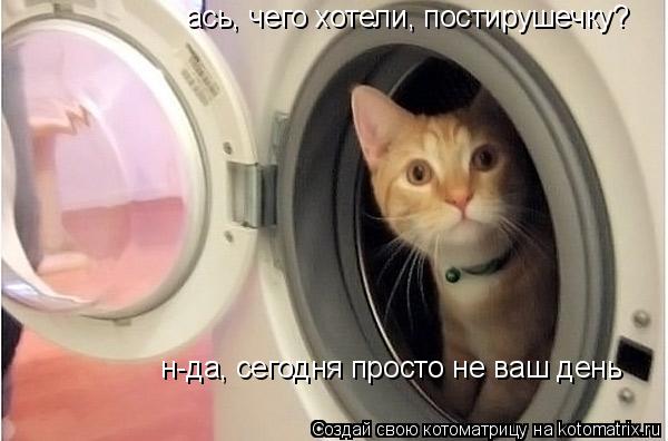 ась, чего хотели, постирушечку? н-да, сегодня просто не ваш день... Котоматрица: ась, чего хотели, постирушечку? н-да, сегодня просто не ваш день