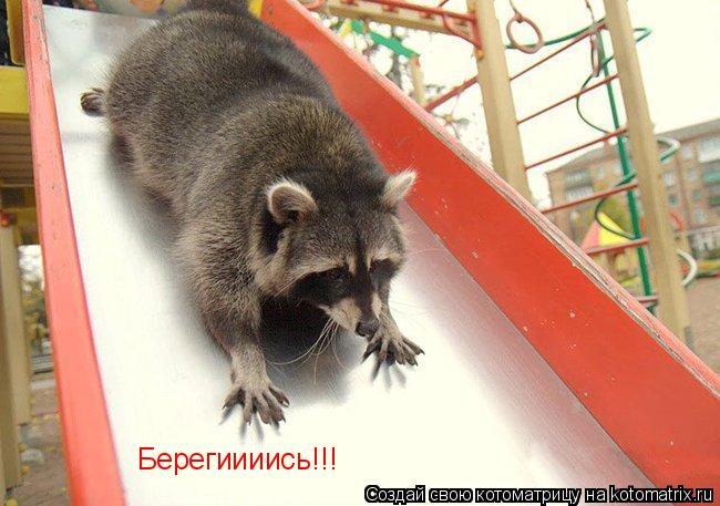 Берегиииись!!!... Котоматрица: Берегиииись!!!