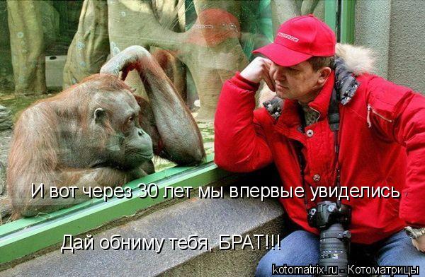 И вот через 30 лет мы впервые увиделись Дай обниму тебя, БРАТ!!!... Котоматрица: И вот через 30 лет мы впервые увиделись Дай обниму тебя, БРАТ!!!
