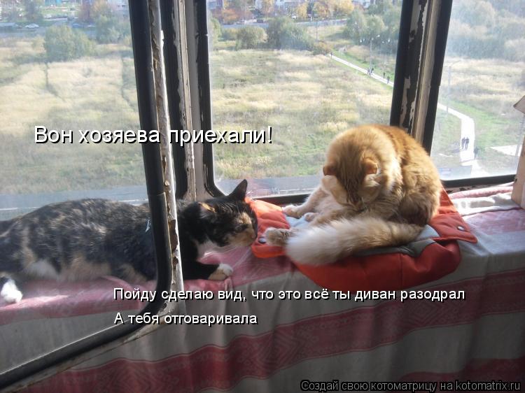 Вон хозяева приехали! Пойду сделаю вид, что это всё ты диван разодрал А тебя отговаривала... Котоматрица: Вон хозяева приехали! Пойду сделаю вид, что это всё ты диван разодрал А тебя отговаривала