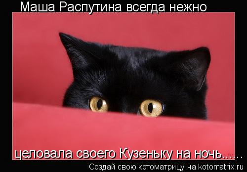 Маша Распутина всегда нежно целовала своего Кузеньку на ночь......... Котоматрица: Маша Распутина всегда нежно целовала своего Кузеньку на ночь......