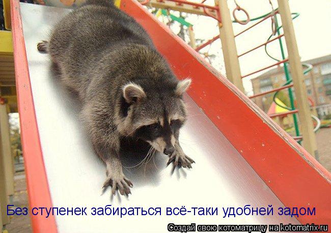 Без ступенек забираться всё-таки удобней задом... Котоматрица: Без ступенек забираться всё-таки удобней задом