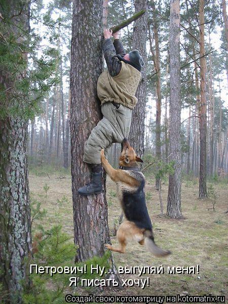 Петрович! Ну... выгуляй меня! Я писать хочу!... Котоматрица: Петрович! Ну... выгуляй меня! Я писать хочу!