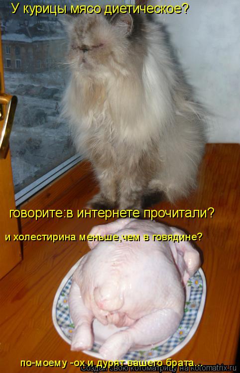 У курицы мясо диетическое? говорите:в интернете прочитали? и холестирина меньше,чем в говядине? по-мо... Котоматрица: У курицы мясо диетическое? говорите:в интернете прочитали? и холестирина меньше,чем в говядине? по-моему -ох и дурят вашего брата...