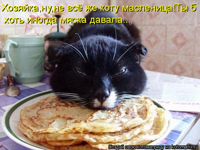 Хозяйка,ну,не всё же коту масленица!Ты б хоть иногда мяска давала...... Котоматрица: Хозяйка,ну,не всё же коту масленица!Ты б хоть иногда мяска давала...