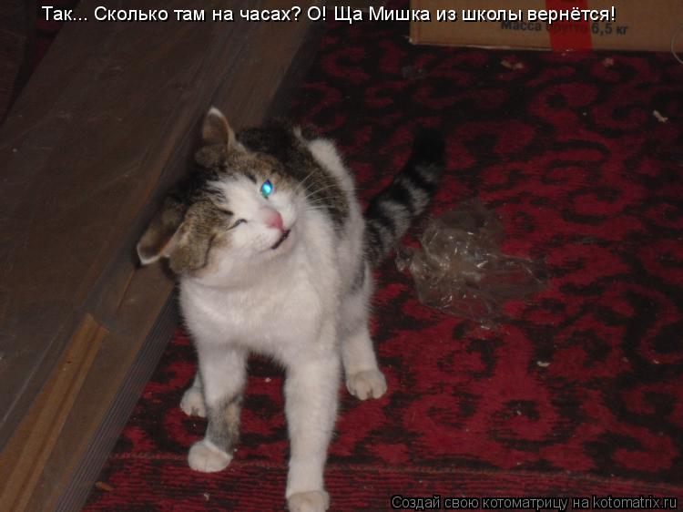 Так... Сколько там на часах? О! Ща Мишка из школы вернётся!... Котоматрица: Так... Сколько там на часах? О! Ща Мишка из школы вернётся!