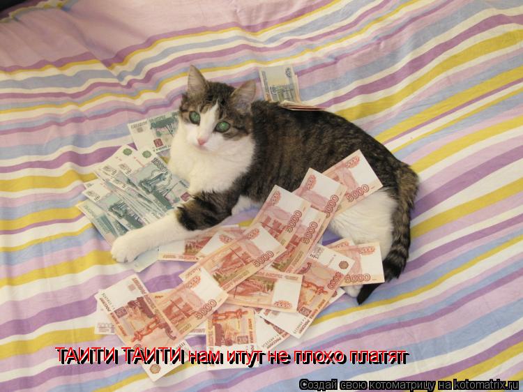 ТАИТИ ТАИТИ нам итут не плохо платят ТАИТИ ТАИТИ нам итут не плохо платят ТАИТИ ТАИТИ нам итут не пло... Котоматрица: ТАИТИ ТАИТИ нам итут не плохо платят ТАИТИ ТАИТИ нам итут не плохо платят ТАИТИ ТАИТИ нам итут не плохо платят ТАИТИ ТАИТИ нам итут не плохо