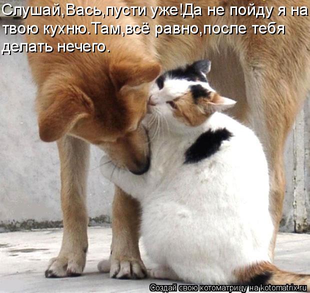 Слушай,Вась,пусти уже!Да не пойду я на твою кухню.Там,всё равно,после тебя делать нечего.... Котоматрица: Слушай,Вась,пусти уже!Да не пойду я на твою кухню.Там,всё равно,после тебя делать нечего.