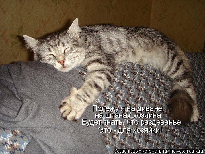 Полежу я на диване, на штанах хозяина Будет знать, что раздеванье Это - для хозяйки!... Котоматрица: Полежу я на диване, на штанах хозяина Будет знать, что раздеванье Это - для хозяйки!