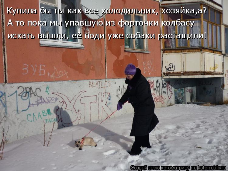 Купила бы ты как все холодильник, хозяйка,а? А то пока мы упавшую из форточки колбасу искать вышли, е... Котоматрица: Купила бы ты как все холодильник, хозяйка,а? А то пока мы упавшую из форточки колбасу искать вышли, её поди уже собаки растащили!