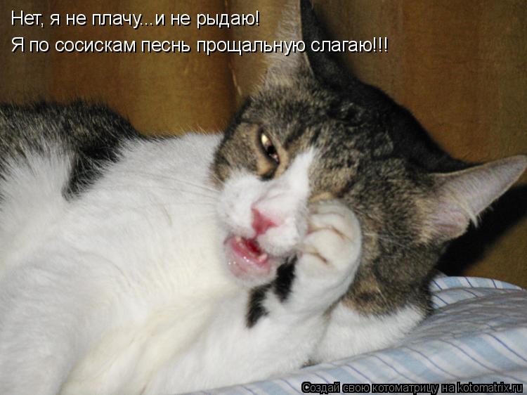 Котоматрица: Нет, я не плачу...и не рыдаю! Я по сосискам песнь прощальную слагаю!!!