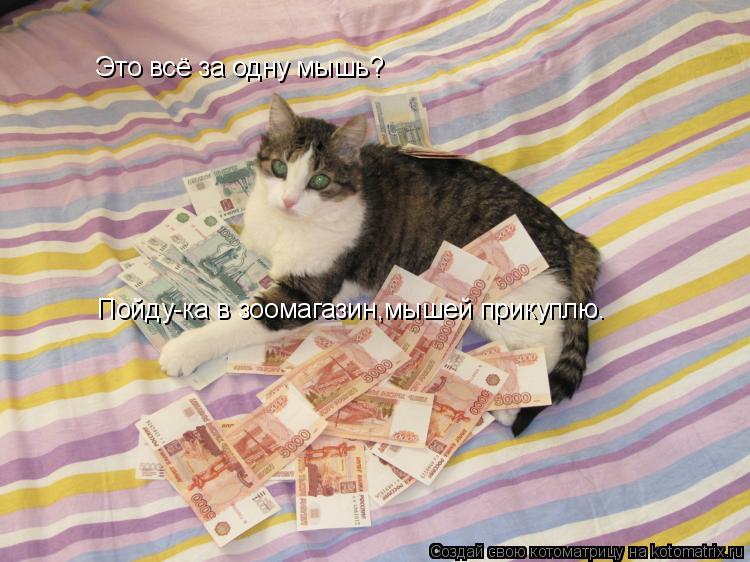 Это всё за одну мышь? Пойду-ка в зоомагазин,мышей прикуплю.... Котоматрица: Это всё за одну мышь? Пойду-ка в зоомагазин,мышей прикуплю.
