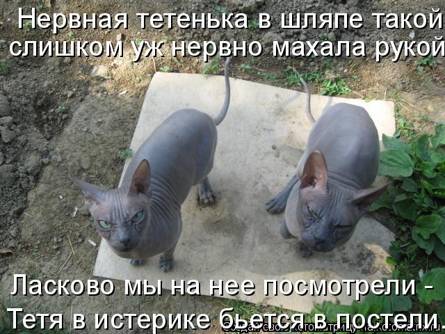 Нервная тетенька в шляпе такой слишком уж нервно махала рукой. Ласково мы на нее посмотрели - Тетя ... Котоматрица: Нервная тетенька в шляпе такой слишком уж нервно махала рукой. Ласково мы на нее посмотрели - Тетя в истерике бьется в постели...