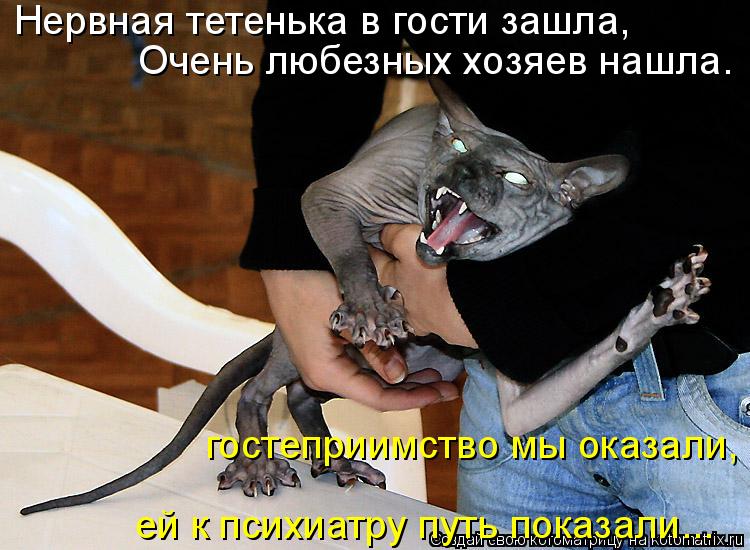 Нервная тетенька в гости зашла, Очень любезных хозяев нашла. гостеприимство мы оказали, ей к психиа... Котоматрица: Нервная тетенька в гости зашла, Очень любезных хозяев нашла. гостеприимство мы оказали, ей к психиатру путь показали...