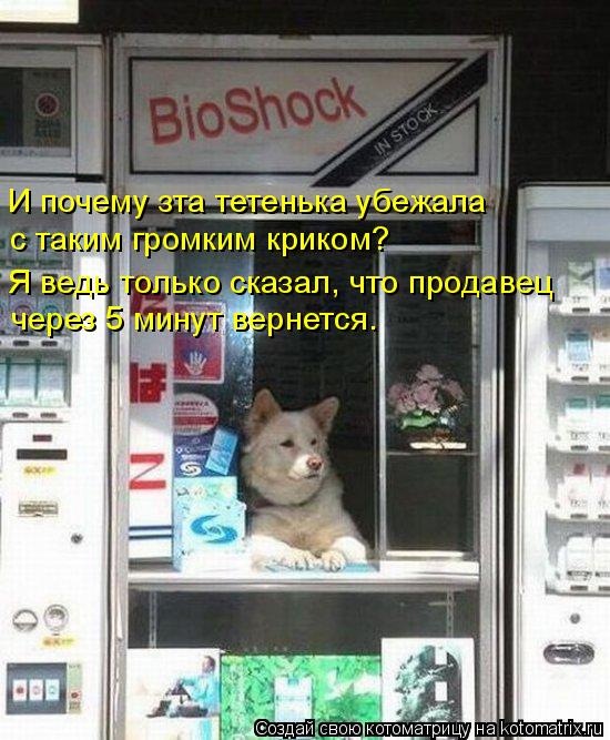 И почему зта тетенька убежала с таким громким криком? Я ведь только сказал, что продавец через 5 м... Котоматрица: И почему зта тетенька убежала с таким громким криком? Я ведь только сказал, что продавец через 5 минут вернется.