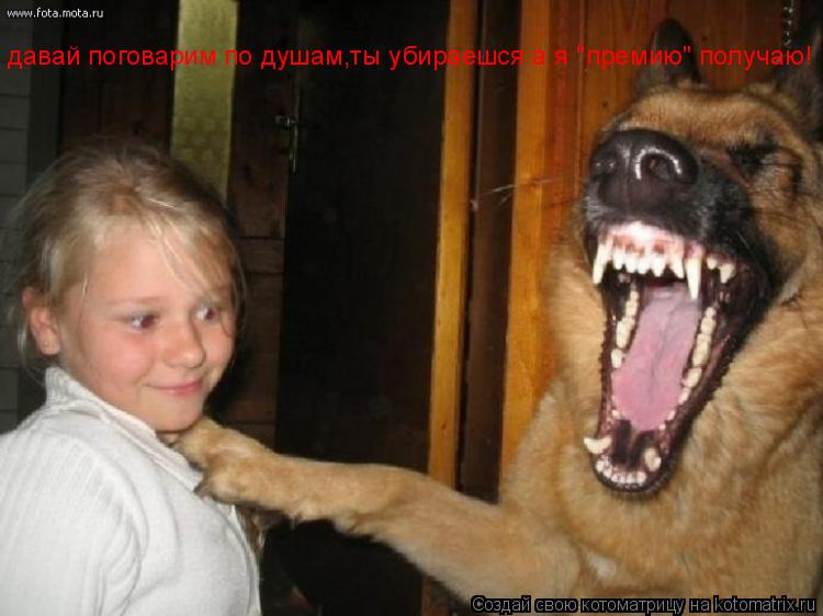 давай поговарим по душам,ты убираешся а я "премию" получаю!... Котоматрица: давай поговарим по душам,ты убираешся а я "премию" получаю!
