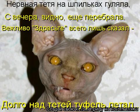 Нервная тетя на шпильках гуляла, С вечера, видно, еще перебрала. Вежливо "Здрасьте" всего лишь сказа... Котоматрица: Нервная тетя на шпильках гуляла, С вечера, видно, еще перебрала. Вежливо "Здрасьте" всего лишь сказал - Долго над тетей туфель летал...