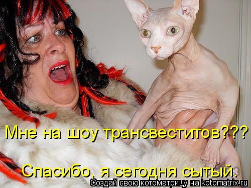 Мне на шоу трансвеститов??? Спасибо, я сегодня сытый.... Котоматрица: Мне на шоу трансвеститов??? Спасибо, я сегодня сытый.