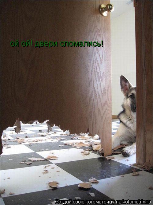 ой ой! двери сломались!... Котоматрица: ой ой! двери сломались!