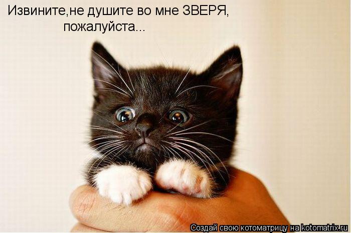 Извините,не душите во мне ЗВЕРЯ, пожалуйста...... Котоматрица: Извините,не душите во мне ЗВЕРЯ, пожалуйста...