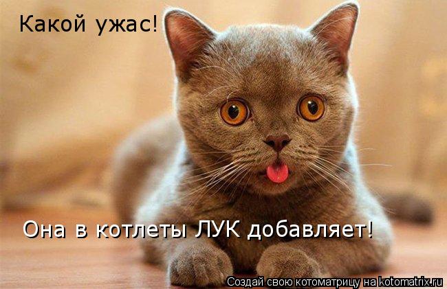 Какой ужас! Она в котлеты ЛУК добавляет!... Котоматрица: Какой ужас! Она в котлеты ЛУК добавляет!
