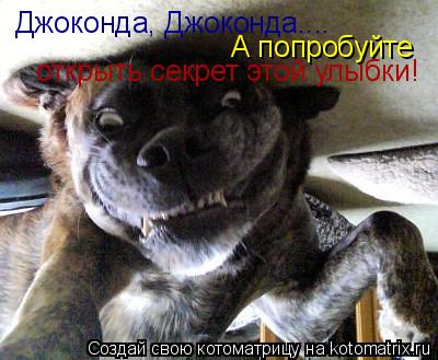 Джоконда, Джоконда.... А попробуйте открыть секрет этой улыбки!... Котоматрица: Джоконда, Джоконда.... А попробуйте открыть секрет этой улыбки!