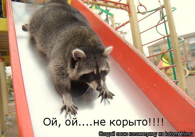 Ой, ой....не корыто!!!!... Котоматрица: Ой, ой....не корыто!!!!