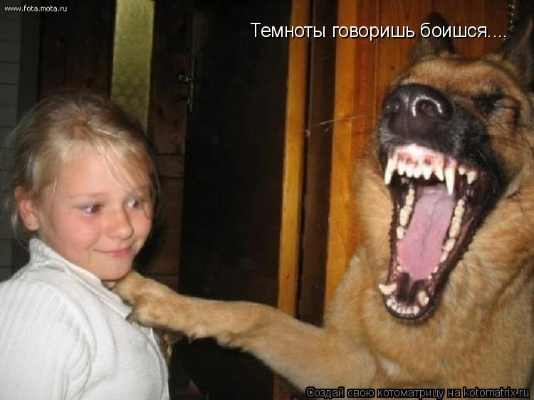 Темноты говоришь боишся....... Котоматрица: Темноты говоришь боишся....