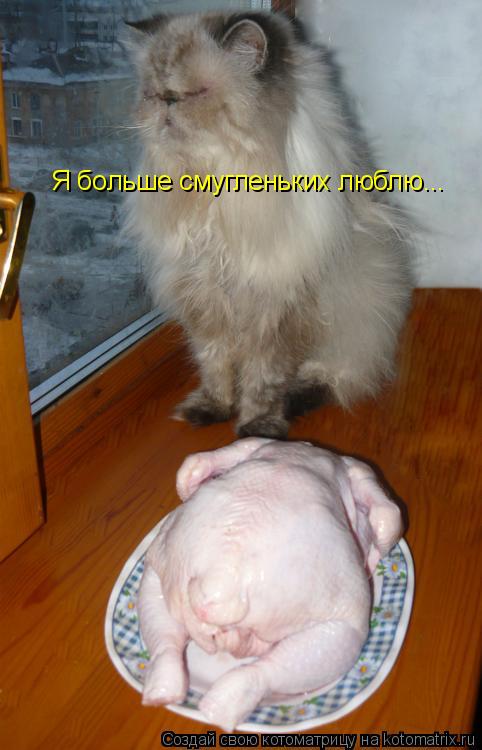 Я больше смугленьких люблю...... Котоматрица: Я больше смугленьких люблю...