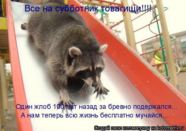 Все на субботник товагищи!!!! Один жлоб 100 лет назад за бревно подержался... А нам теперь всю жизнь ... Котоматрица: Все на субботник товагищи!!!! Один жлоб 100 лет назад за бревно подержался... А нам теперь всю жизнь бесплатно мучайся...