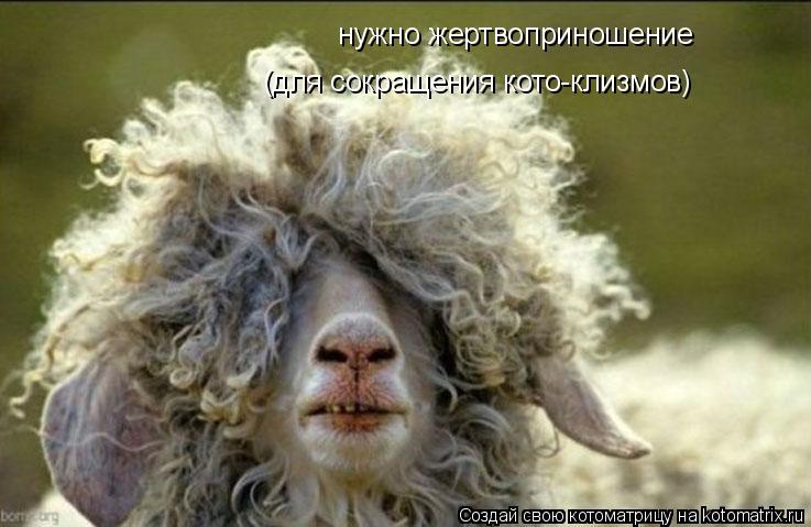нужно жертвоприношение (для сокращения кото-клизмов)... Котоматрица: нужно жертвоприношение (для сокращения кото-клизмов)