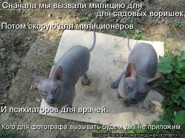 Сначала мы вызвали милицию для для садовых воришек, Потом скорую для милиционеров. И психиаторов для ... Котоматрица: Сначала мы вызвали милицию для для садовых воришек, Потом скорую для милиционеров. И психиаторов для врачей. Кого для фотографа вызывать бу