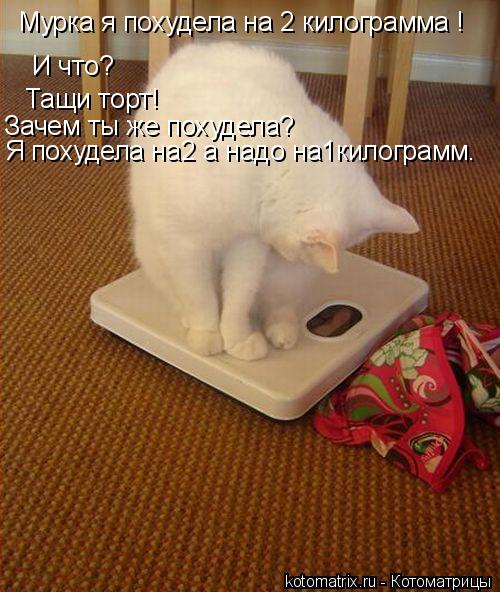 Мурка я похудела на 2 килограмма ! И что? Тащи торт! Зачем ты же похудела? Я похудела на2 а надо на1... Котоматрица: Мурка я похудела на 2 килограмма ! И что? Тащи торт! Зачем ты же похудела? Я похудела на2 а надо на1килограмм.