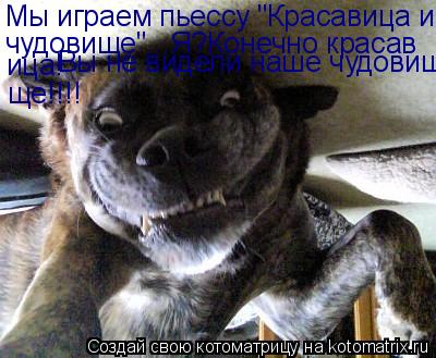 Мы играем пьессу "Красавица и чудовище"... чудовище"...Я?Конечно красав ица! Вы не видели наше чудови... Котоматрица: Мы играем пьессу "Красавица и чудовище"... чудовище"...Я?Конечно красав ица! Вы не видели наше чудовище! ще!!!!